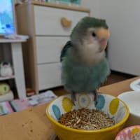 蒼クンとの信頼関係が💔