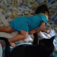 赤ちゃんと猫と
