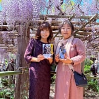 子平町の藤
