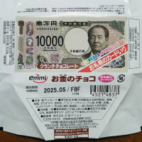 【元祖・大人の食玩】「お金のカード」【お金のチョコ】新紙幣発行篇