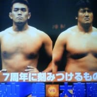 大森隆男　秋山準　プロレスフィギュアセット 92ce3908f1622ccefffa2c902acb33