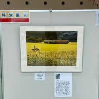 「ゴルフの聖地」から広げよう～市原の観光戦略と小湊鐵道写真展～