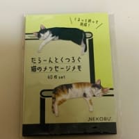 大阪関西万博　お土産