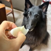 鳴門の渦潮
