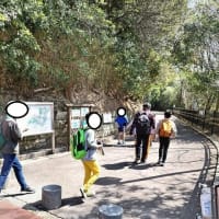 3月16日　須磨離宮公園に行ってきました☆
