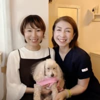 師匠のエステを受けてきました⭐︎！