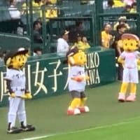 雨の甲子園