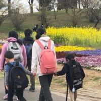 🌸ピクニック🌸