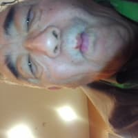 昨日河馬の携帯電話が壊れた。結果貴重な二度と再現出来ない写真やデータが失われ悲嘆にくれている。