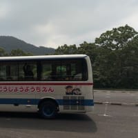 お泊まり保育⑭