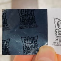 GLAY 5/31 30th Anniversary GLAY EXPO 2024-2025 GRAND FINALE at 東京ドーム
