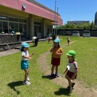 ５月29日(2) 幼稚園の外遊びの様子！