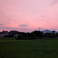 デマでしたね