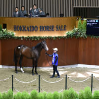 【セレクションセール2025(Selection Sale)】の「オンラインカタログ(1歳馬372頭)」が公開