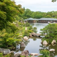 三景園　花まつり　1万株のアジサイを堪能しました　広島県三原市本郷町 広島空港隣地