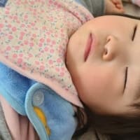 天使の寝顔😴