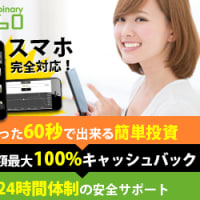 バイナリーオプションとは？メリットは？どんな人にオススメ？