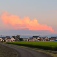 綺麗な空