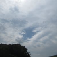 梅雨の一休み？？