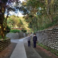 八丈島