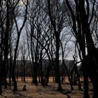 20250316）NikonD300はいいぞ！