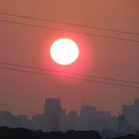 6月29日 今日の写真　朝の雲　　朝の話題・オオタニ登板が