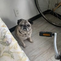 I LOVEウィートン、1週間のお仕事が無事終了しました～！！