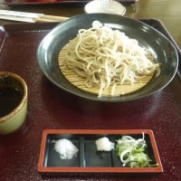ササユリを観た後