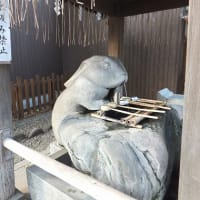 別所沼散歩