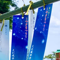 織姫神社と七色の鳥居