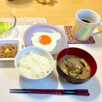 採れたて野菜で朝食😊