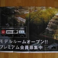 チラシ　便利箱♪