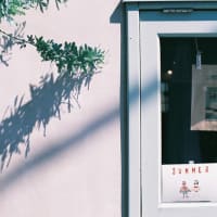 フィルム回帰（というよりもデジタルと並行）