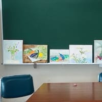 ６月　お絵かき教室