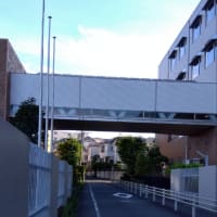 2025/07/14(月)　渡り廊下