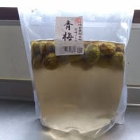 ふうたんのバッグ、完成しました。