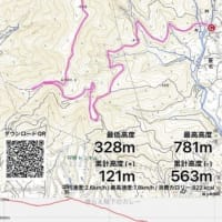 隣では野生の鹿もお食事中