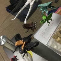 私と同じ人、じゃダメなんだ