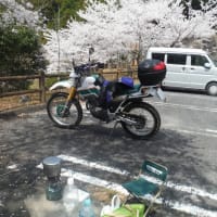 久しぶりに林道ツーリング行きました