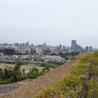 仙台をお散歩