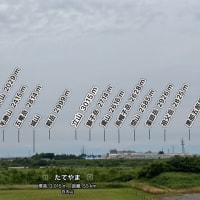 庄川の朝風景