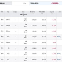 国内 株式売買を 始めてました・・・・。