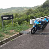 涼しい朝に