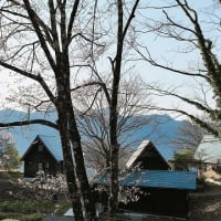 大城・京ヶ倉春のトレッキングツアー＆高津屋森林公園上空からの風景