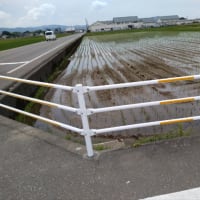 今日いち-2025年6月12日