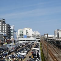 平塚市唯一の旅客駅「平塚駅」を撮る！！