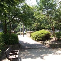 蓬川緑地散策（５８）♪・・・兵庫県尼崎市