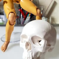 脳みそパーンしてから絵が歪むので素体をしっかり見ないとね