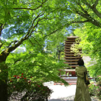 青もみじに染まる「談山神社」