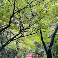 2024年11月23日